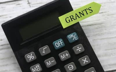Government Grants for Battery Storage Systems