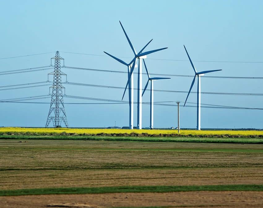 Peak and Off Peak Hours For Electricity